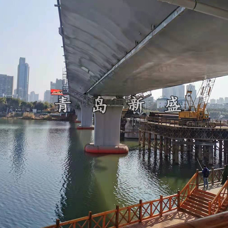 中鐵十八局江西贛州南河大橋一期、二期擴建項目(圖1)